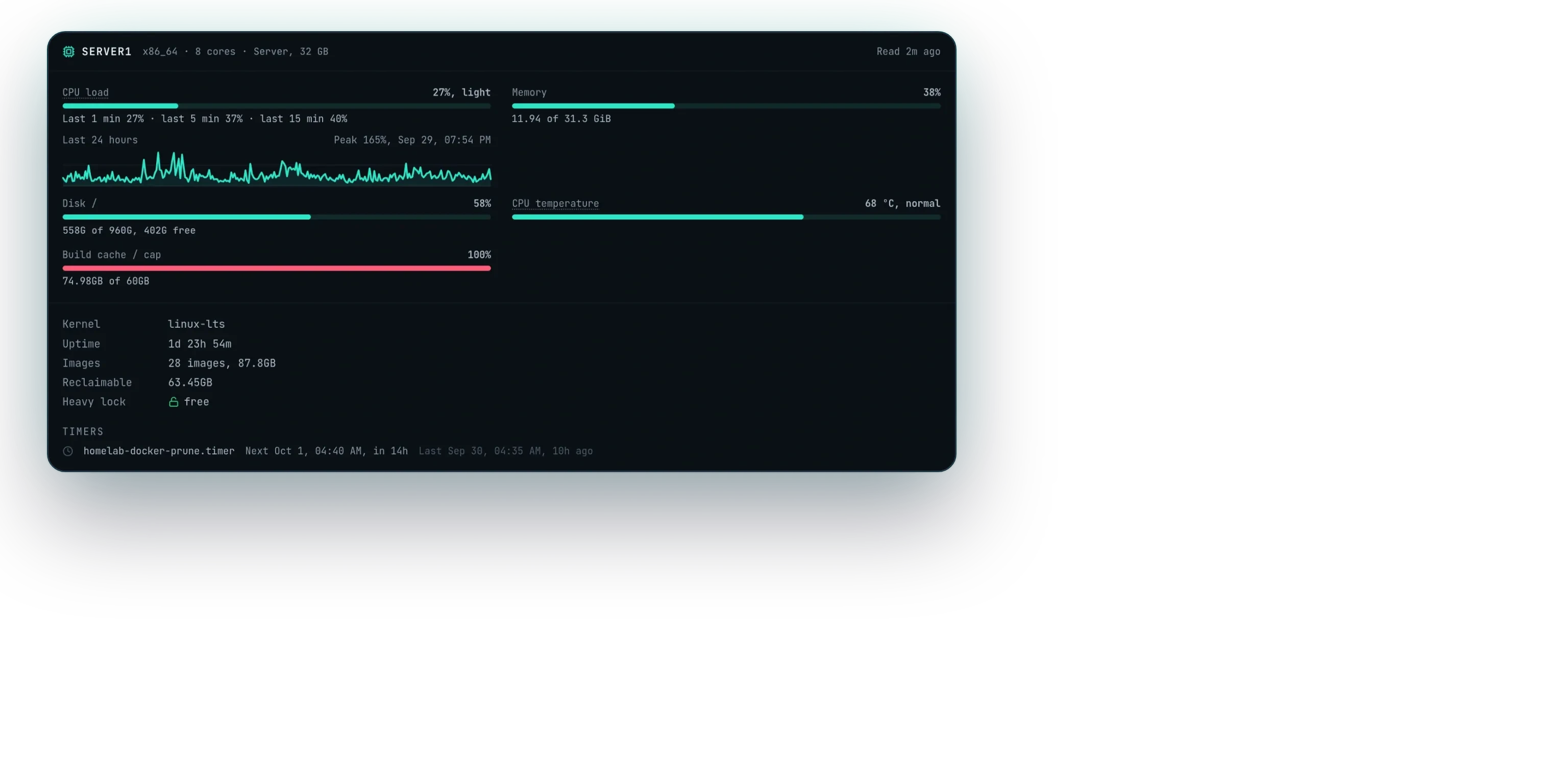 The always-on host's readings: CPU load with its last twenty-four hours, memory, disk, temperature, and a build cache over its cap