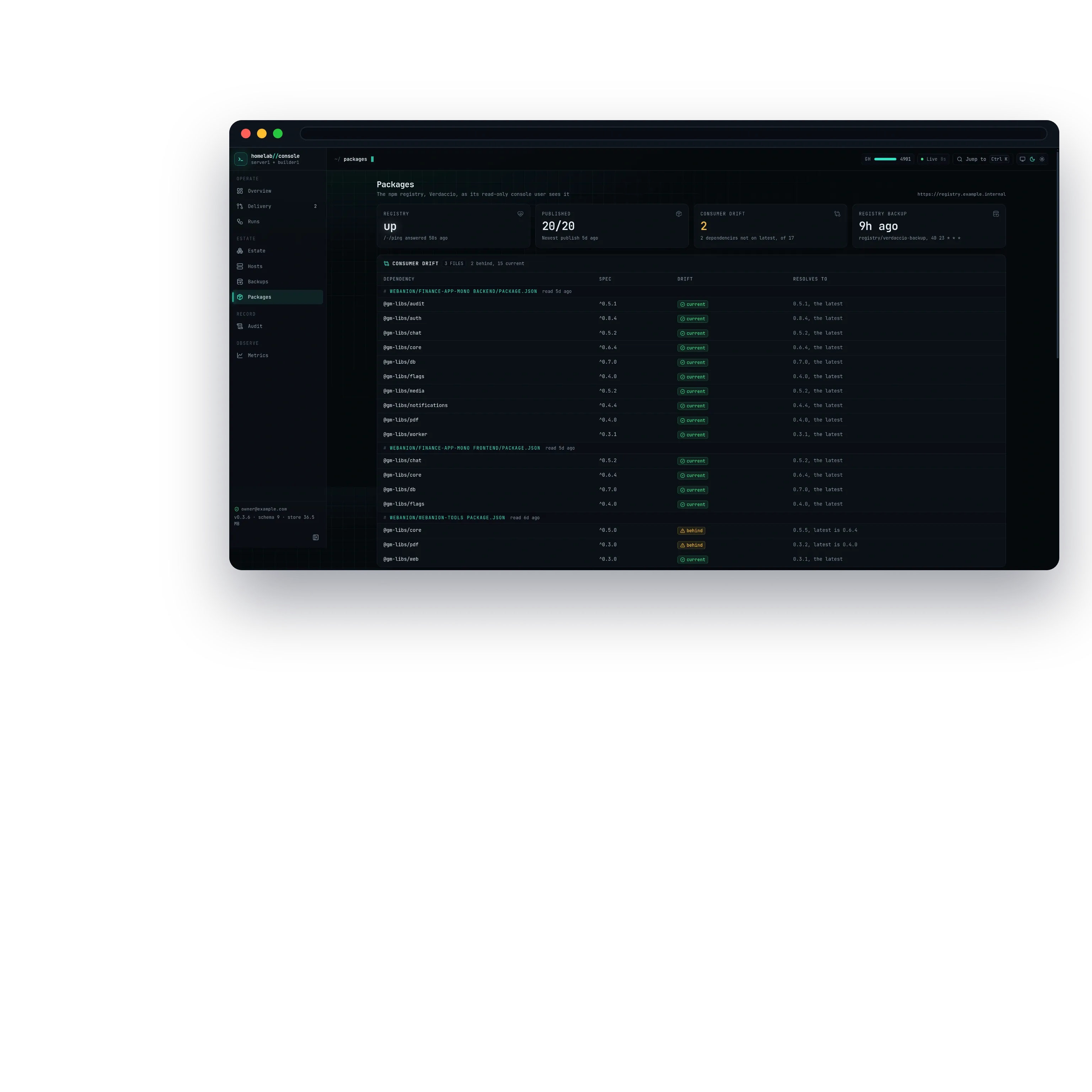 The console's Packages view of the private npm registry: the registry up, every package published, the age of the registry backup, and the consumer drift table with any dependency that is behind flagged